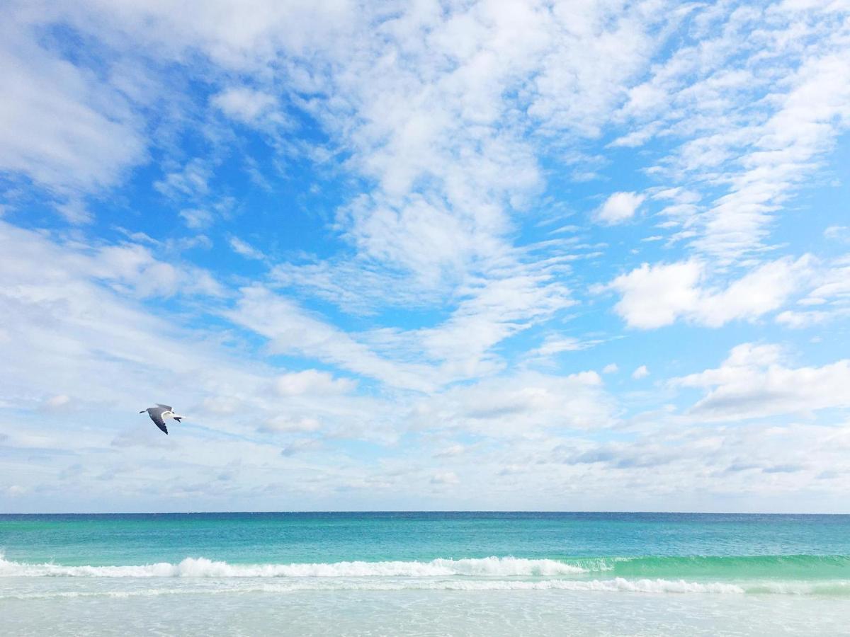 Beachy Keen Destin Dış mekan fotoğraf